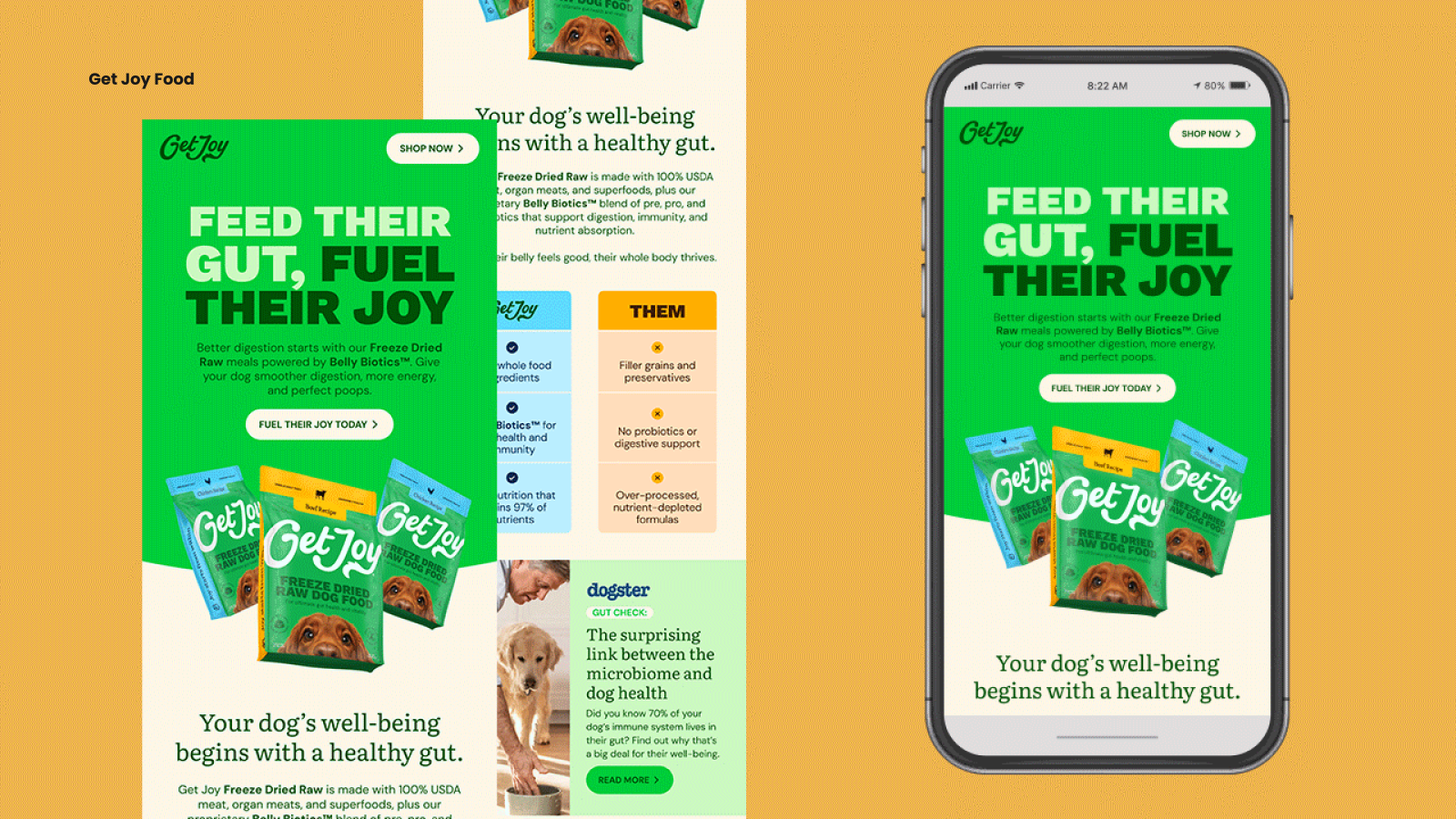 Get Joy email template